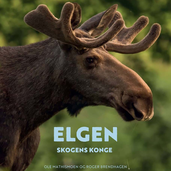 Elgen
